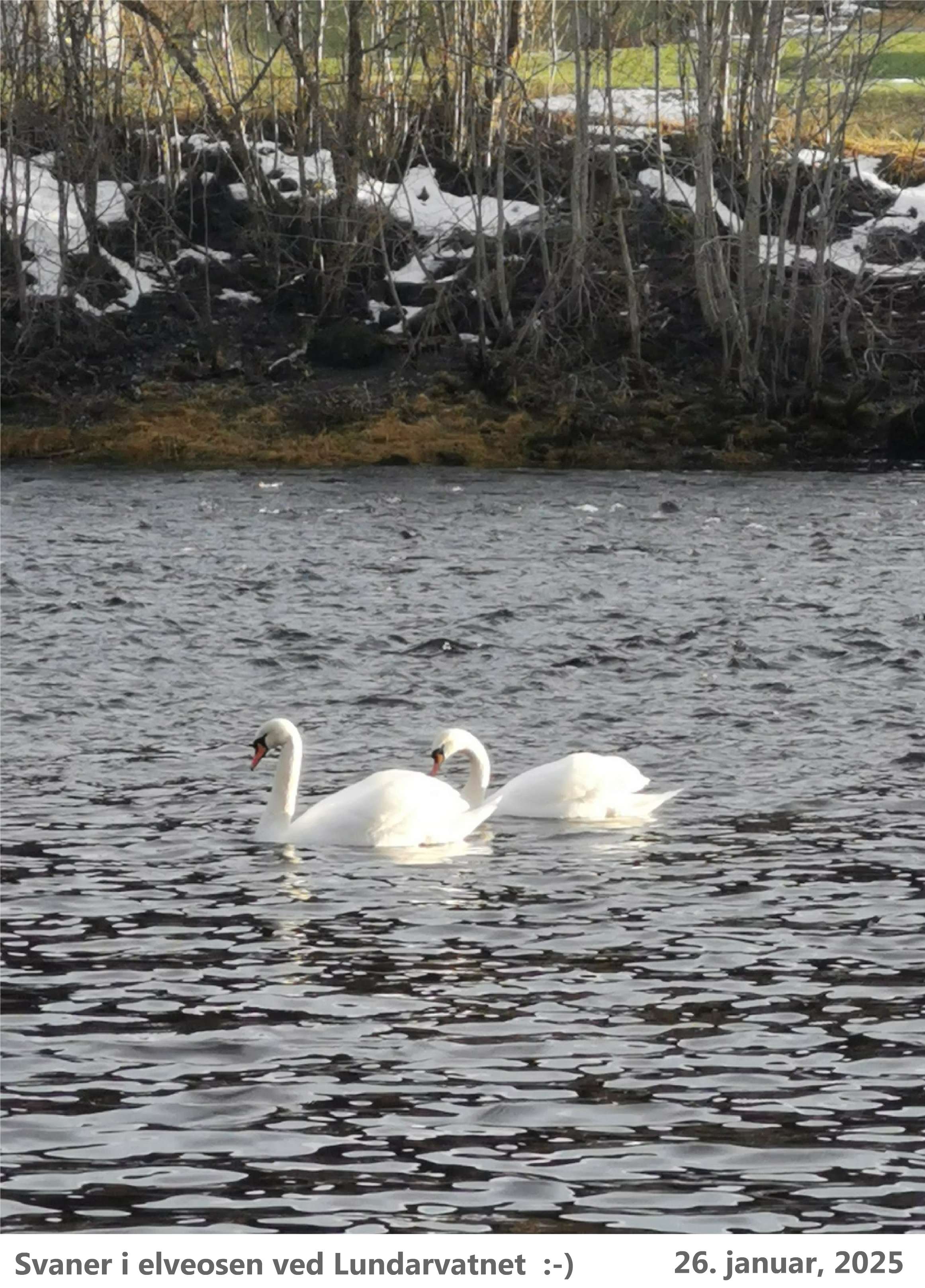 Fram i tid, bilder kjem